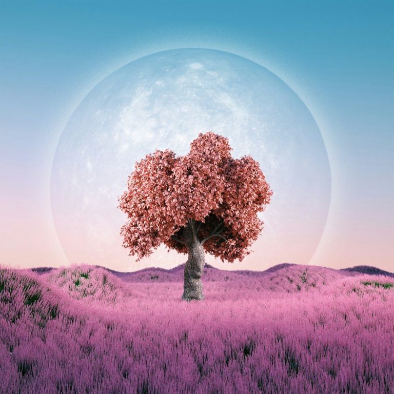 Rosa blühender Baum vor einem großen Mond und lila Feldern im Hintergrund.
