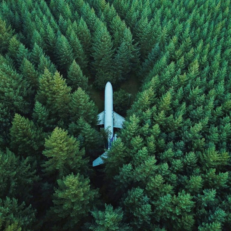Ein Flugzeug steht inmitten dichter, grüner Baumkronen.