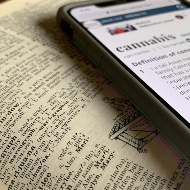 Mobile phone zeigt die Definition von "cannabis" auf einer offenen Buchseite.